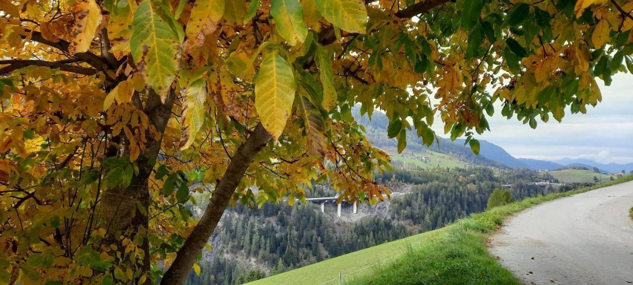 Steinhof Leilighet Gries Eksteriør bilde